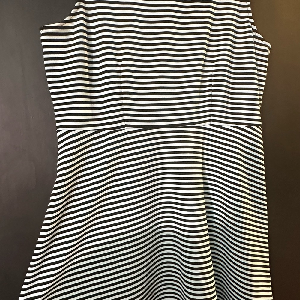 Striped Light Mint and Black Women's Dress